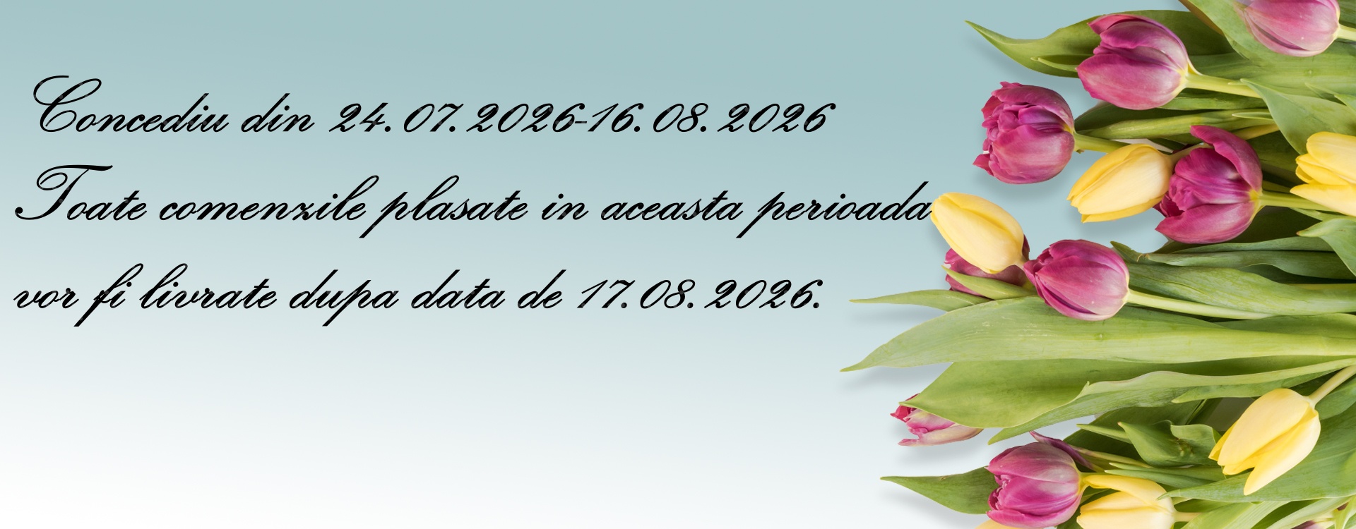 Astrid Boutique